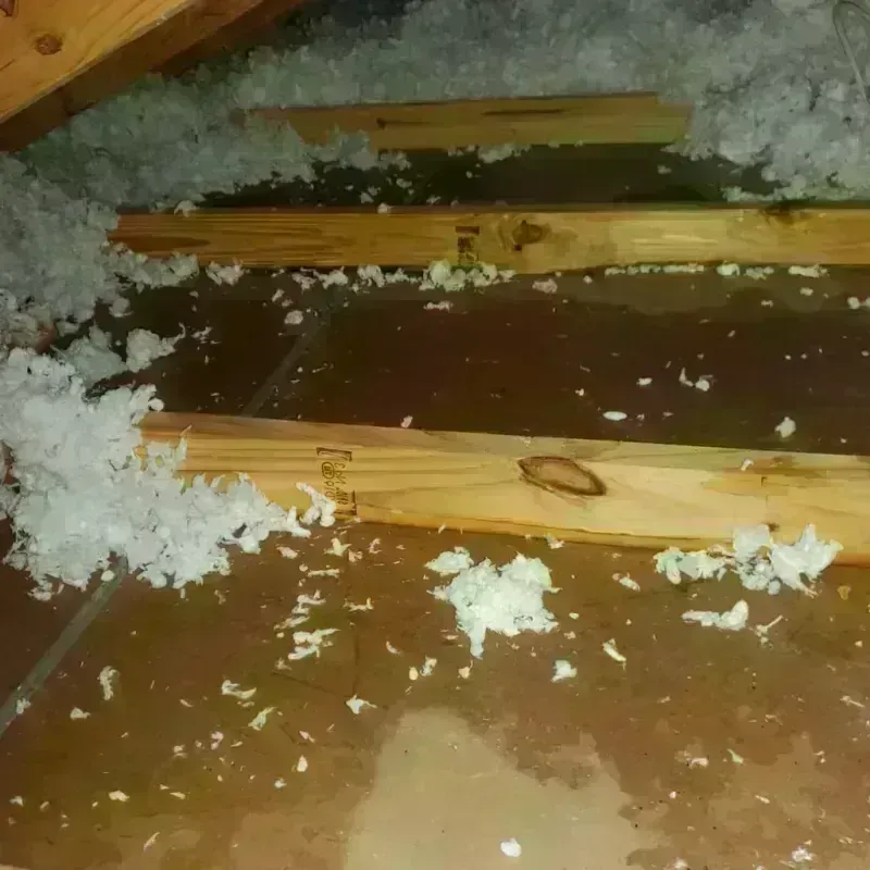 Attic Water Damage in Wilmer, TX