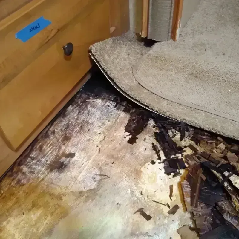 Best Wood Floor Water Damage Service in Wilmer, TX